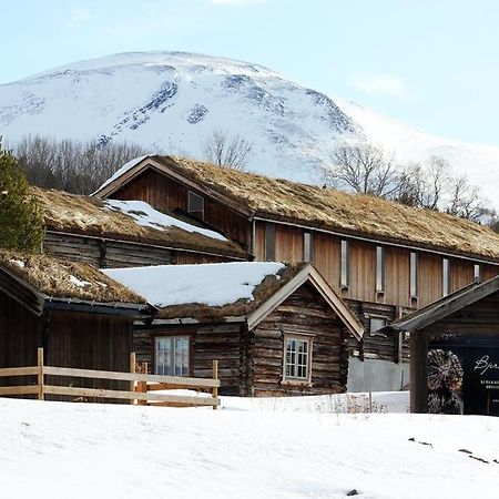 Bjerkelokkja Bed And Breakfast オップダール エクステリア 写真