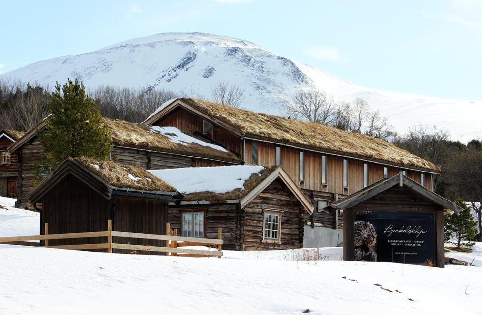 Bjerkelokkja Bed And Breakfast オップダール エクステリア 写真